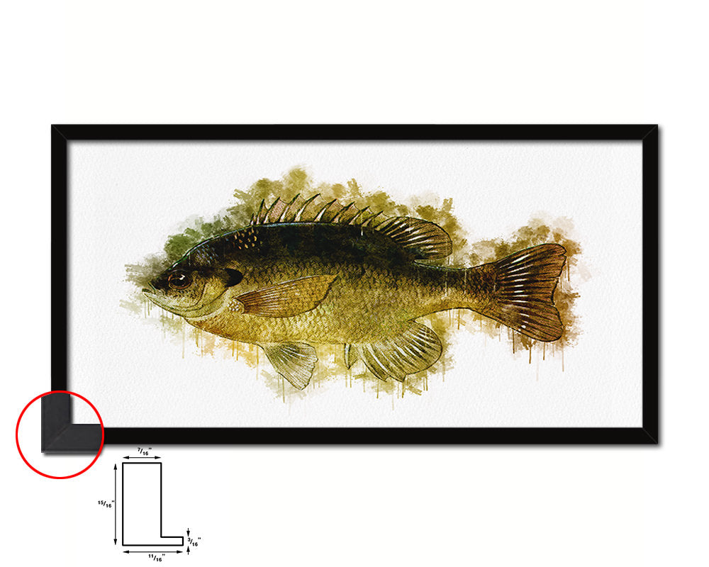Bluegill Fish Art Wood Frame Modern Restaurant Sushi Wall Decor Gifts, 10" x 20"