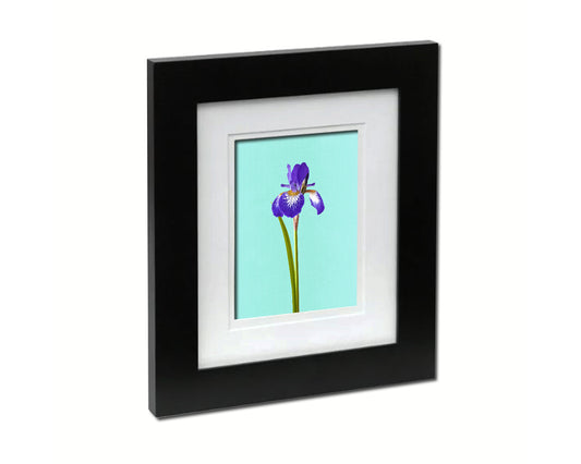 Iris Colorful Plants Art Wood Framed Print Wall Decor Gifts