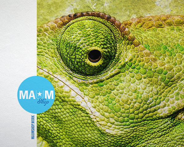 Chameleon Animal Painting Print Framed Art Home Wall Decor Gifts