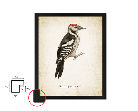 Woodpecker Vintage Bird Fine Art Paper Prints Home Decor Wall Art Gifts