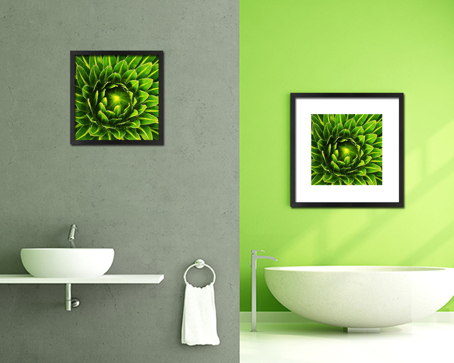 The Cactus Bud of Plant Evergreen Succulent Leaves Spiral Plant Framed Print Home Decor Wall Art