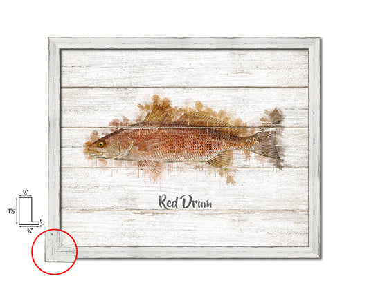 Red Drum Fish Framed Prints Modern Restaurant Sushi Bar Watercolor Wall Art Decor