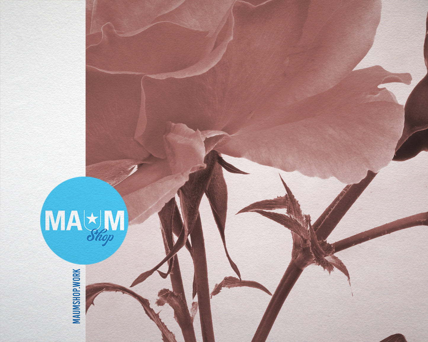 Yellow Rose Sepia Plants Art Wood Framed Print Wall Decor Gifts