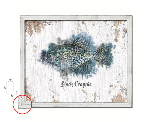 Black Crappie Fish Framed Prints Modern Restaurant Sushi Bar Watercolor Wall Art Decor