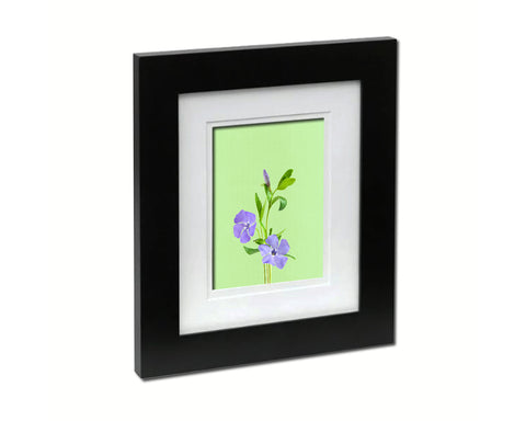 Blue Periwinkle Colorful Plants Art Wood Framed Print Wall Decor Gifts