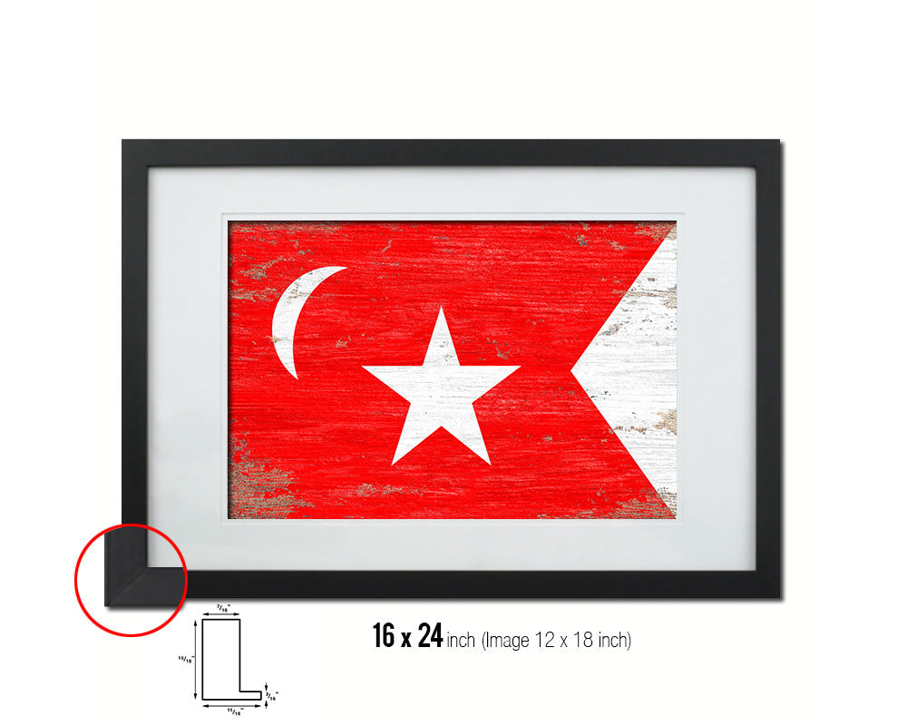 South Carolina Secession US Historical Civil War Shabby Chic Military Flag Framed Print Art