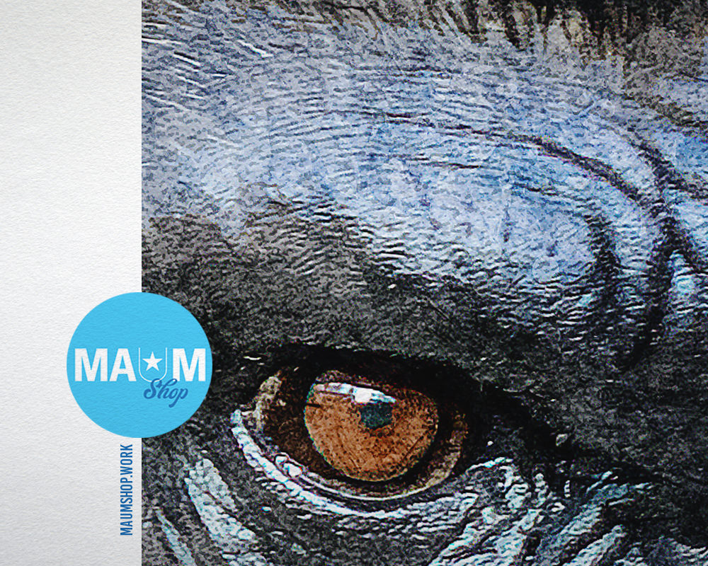 Gorillas Animal Painting Print Framed Art Home Wall Decor Gifts