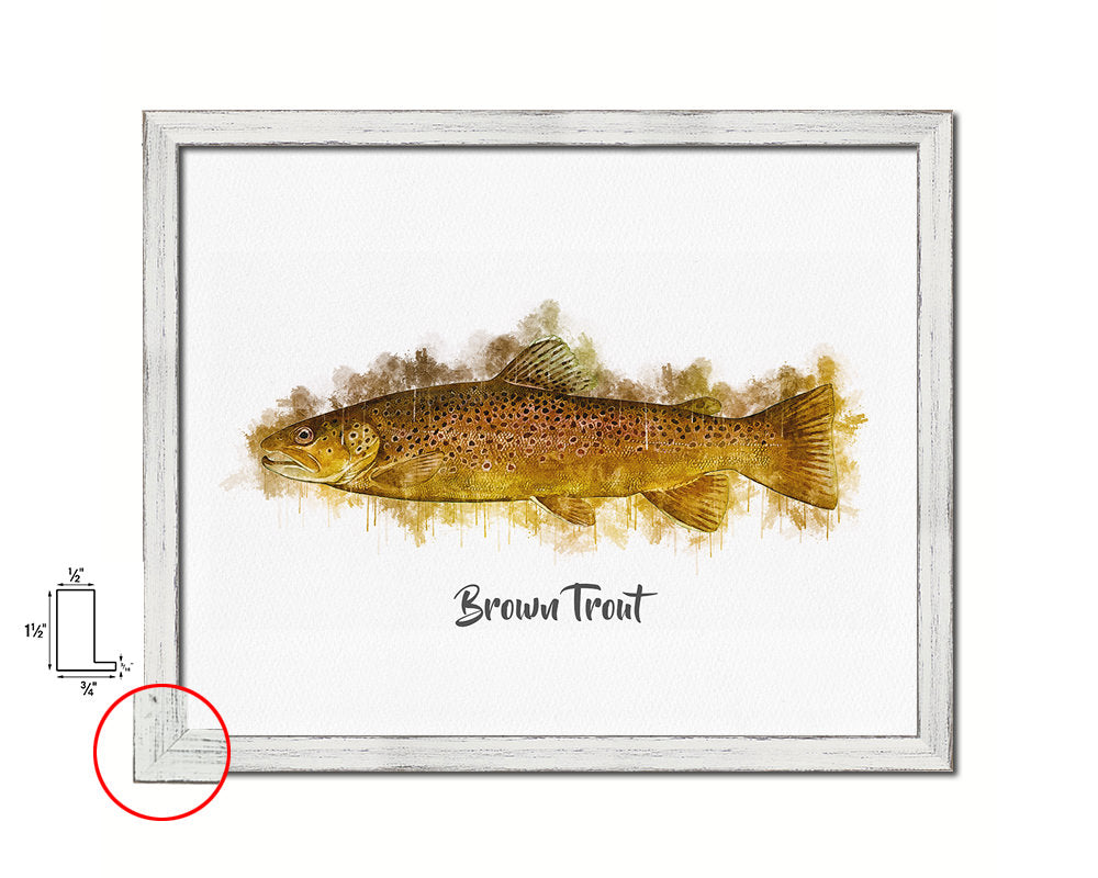 Brown Trout Fish Framed Prints Modern Restaurant Sushi Bar Watercolor Wall Art Decor
