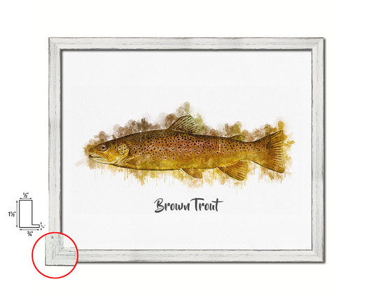 Brown Trout Fish Framed Prints Modern Restaurant Sushi Bar Watercolor Wall Art Decor