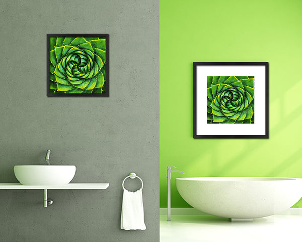 Aloe Succulent African Evergreen Leaves Spiral Plant Wood Framed Print Decor Wall Art Gifts