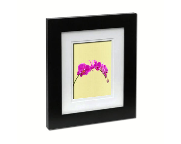 Violet Phalaenopsis Colorful Plants Art Wood Framed Print Wall Decor Gifts