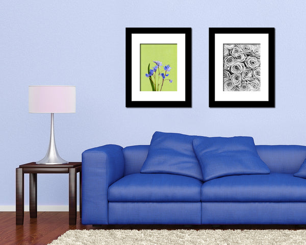 Blue Crocus Spring Colorful Plants Art Wood Framed Print Wall Decor Gifts