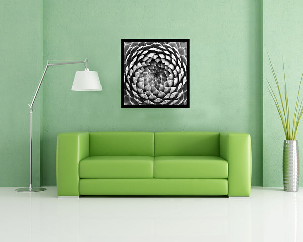 Opening Thistle B &W Succulent Leaves Spiral Plant Wood Framed Print Decor Wall Art Gifts