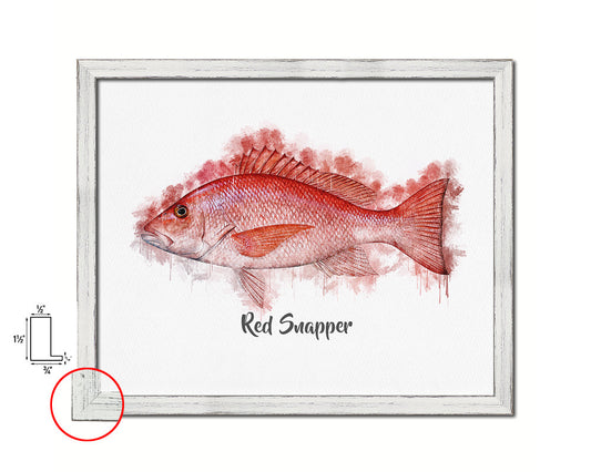 Red Snapper Fish Framed Prints Modern Restaurant Sushi Bar Watercolor Wall Art Decor