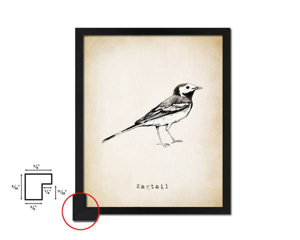 Wagtail Vintage Bird Fine Art Paper Prints Home Decor Wall Art Gifts
