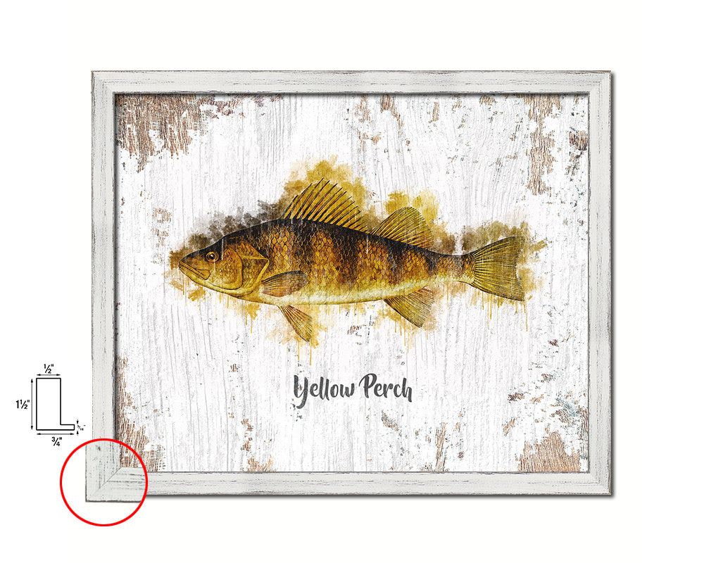 Yellow Perch Fish Framed Prints Modern Restaurant Sushi Bar Watercolor Wall Art Decor