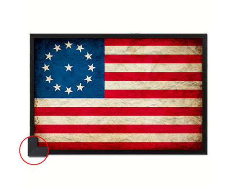 Cowpens US Historical Revolutionary War Vintage Military Flag Framed Print Art
