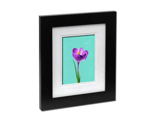 Crocus Colorful Plants Art Wood Framed Print Wall Decor Gifts