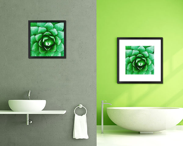 Large Century Plant Evergreen Succulent Leaves Spiral Plant Wood Framed Print Decor Wall Art Gifts