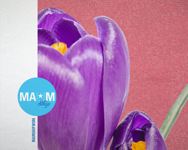 Purple Crocus Spring Colorful Plants Art Wood Framed Print Wall Decor Gifts