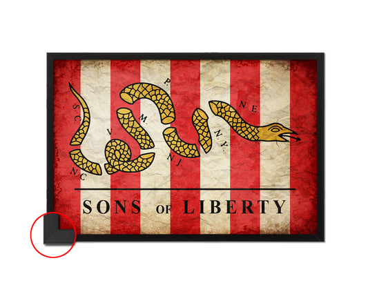 Son of Liberty Vintage Military Flag Framed Print Sign Decor Wall Art Gifts
