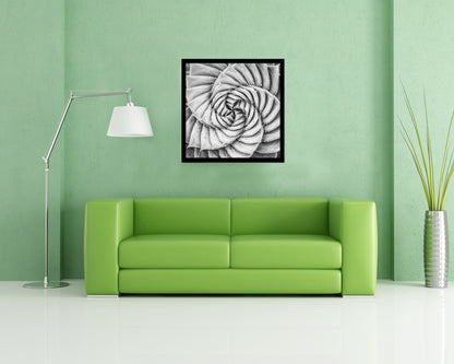Aloe Succulent B &W Leaves Spiral Plant Wood Framed Print Decor Wall Art Gifts