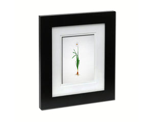 Narcissus Inclusive Bulb Sketch Plants Art Wood Framed Print Wall Decor Gifts