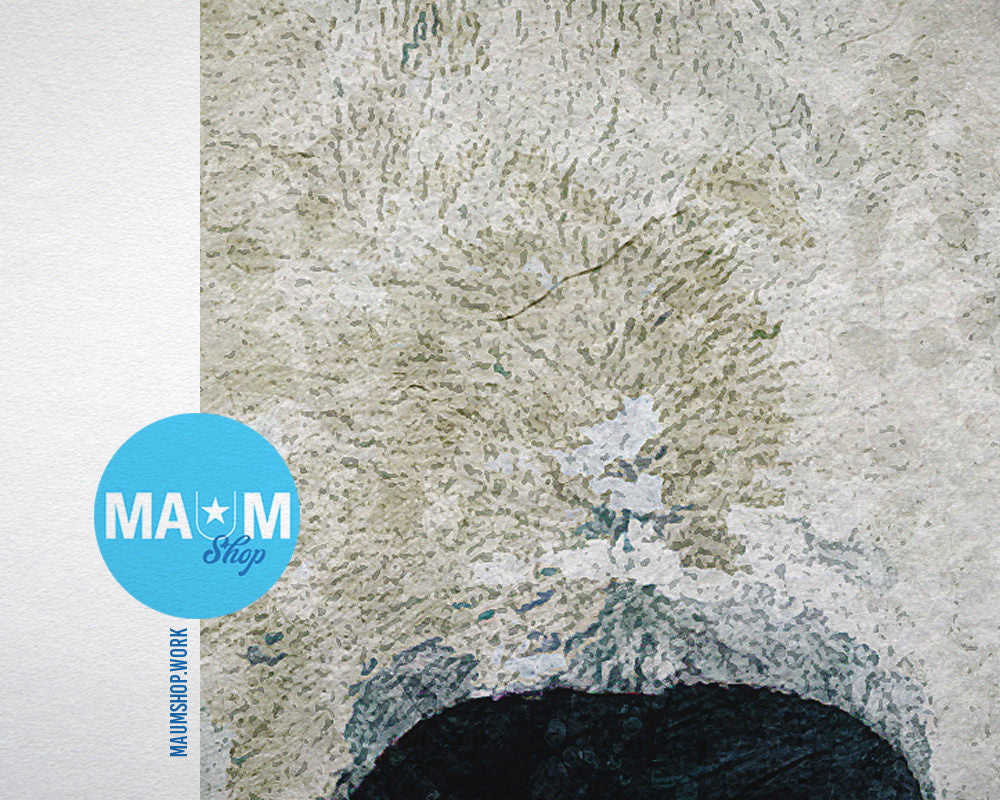 Polar Animal Painting Print Framed Art Home Wall Decor Gifts