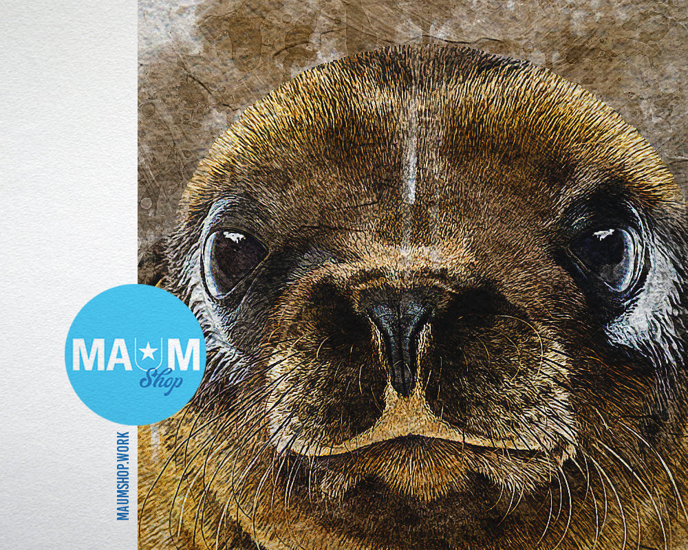 Sea Lion Animal Painting Print Framed Art Home Wall Decor Gifts