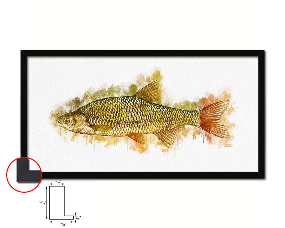 Golden Shiner Fish Art Wood Frame Modern Restaurant Sushi Wall Decor Gifts, 10" x 20"