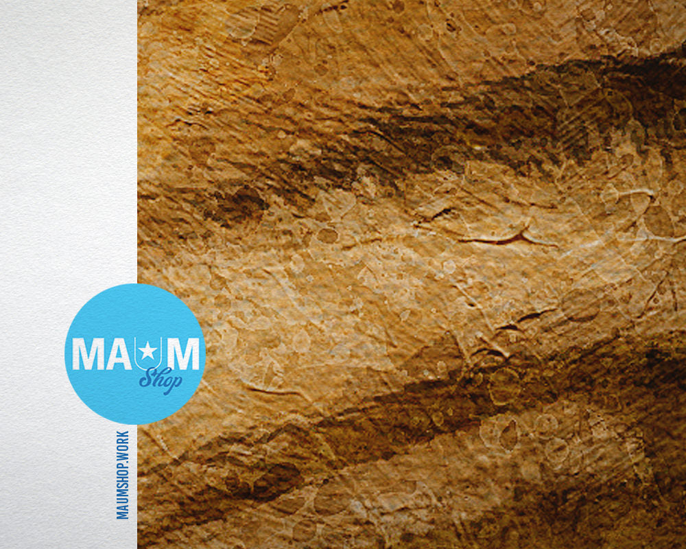 Shar Pei Butt Animal Painting Print Framed Art Home Wall Decor Gifts