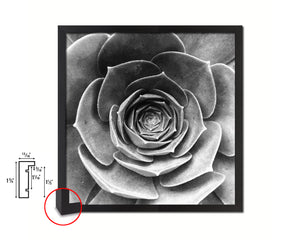 Green Succulent Plants B &W Leaves Spiral Plant Wood Framed Print Decor Wall Art Gifts