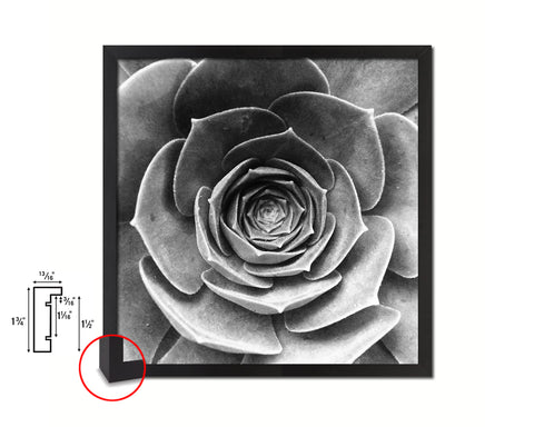 Green Succulent Plants B &W Leaves Spiral Plant Wood Framed Print Decor Wall Art Gifts