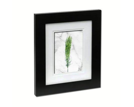 Horsetail Equisetum Marble Texture Plants Art Wood Framed Print Wall Decor Gifts