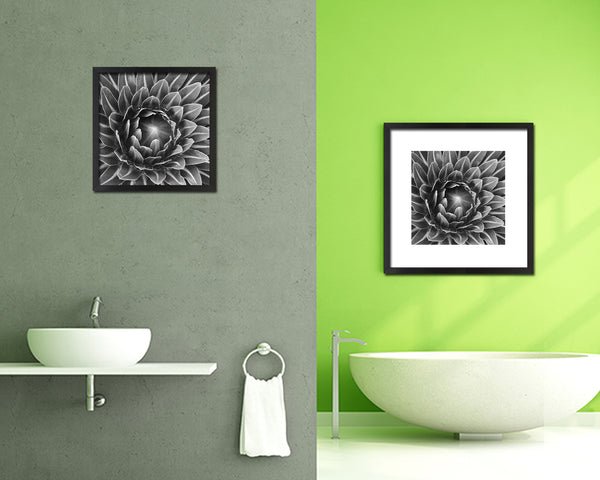The Cactus Bud of Plant B &W Succulent Leaves Spiral Plant Wood Framed Print Decor Wall Art Gifts