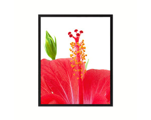 Hibiscus Red Flower Wood Framed Paper Print Wall Decor Art Gifts