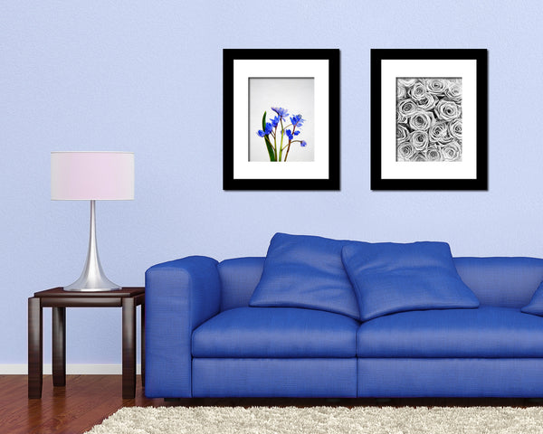 Blue Crocus Spring Sketch Plants Art Wood Framed Print Wall Decor Gifts