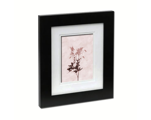 Aquilegia vulgaris Sepia Plants Art Wood Framed Print Wall Decor Gifts