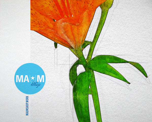 Orange Lily Sketch Plants Art Wood Framed Print Wall Decor Gifts