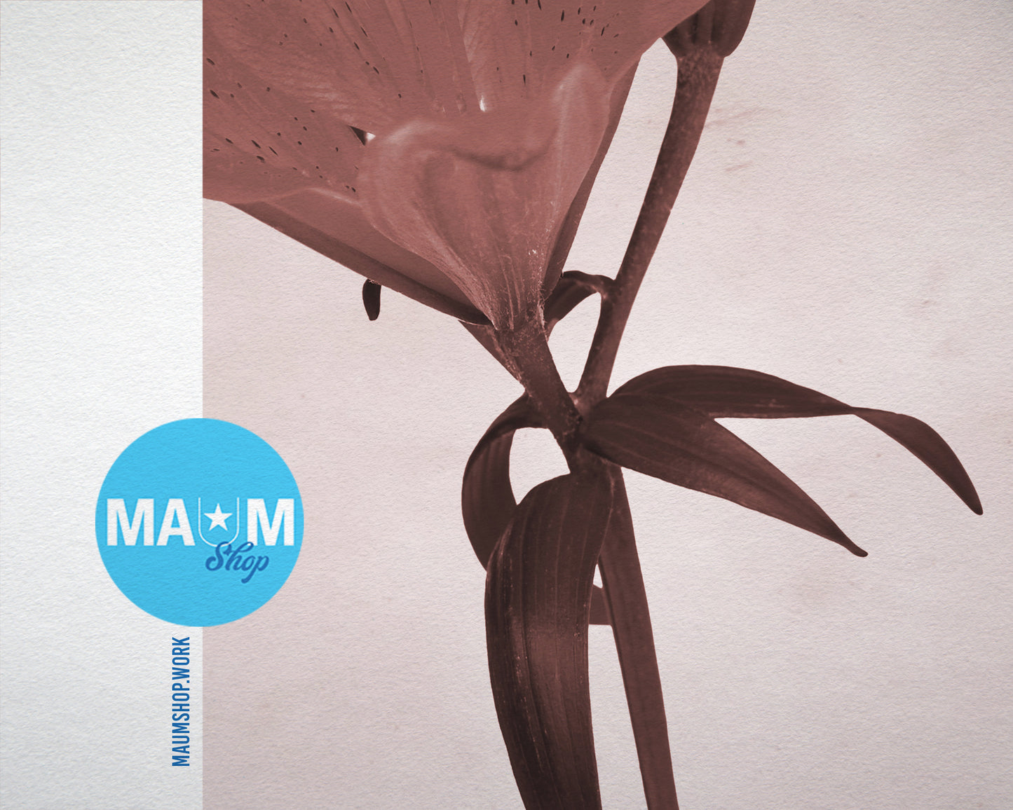 Orange Lily Sepia Plants Art Wood Framed Print Wall Decor Gifts