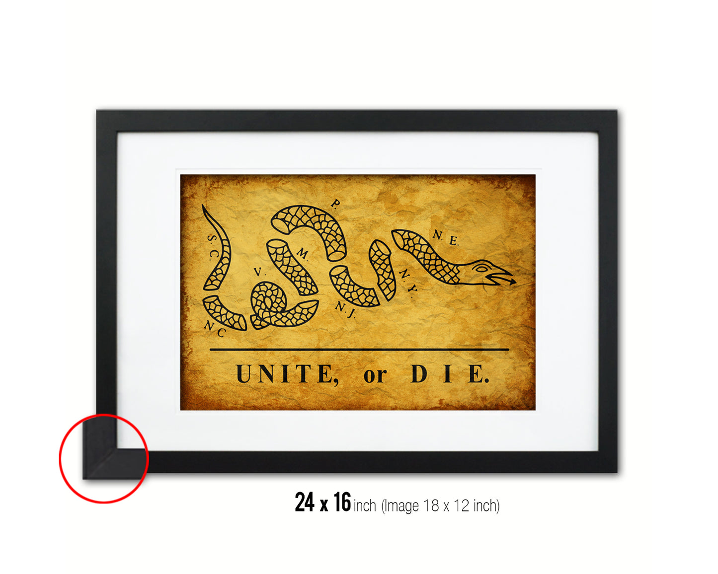 Unite or Die Vintage Military Flag Framed Print Sign Decor Wall Art Gifts
