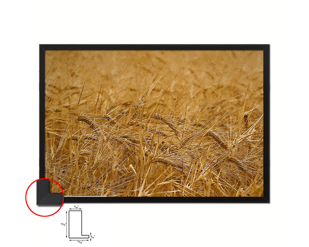 Golden Rye Paddy, harvest Landscape Artwork Framed Painting Print Art Wall Decor Gifts