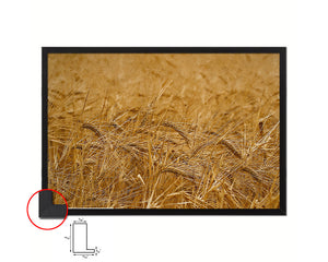 Golden Rye Paddy, harvest Landscape Artwork Framed Painting Print Art Wall Decor Gifts