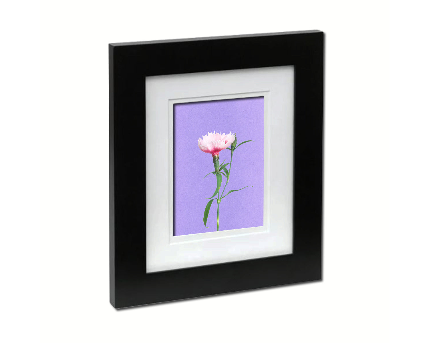 Carnation Colorful Plants Art Wood Framed Print Wall Decor Gifts