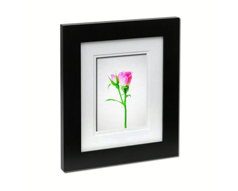 Pink Rose Sketch Plants Art Wood Framed Print Wall Decor Gifts