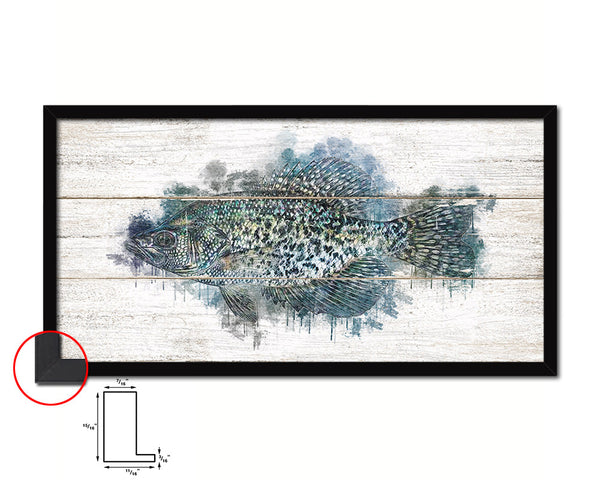 Black Crappie Fish Art Wood Framed White Wash Restaurant Sushi Wall Decor Gifts, 10" x 20"
