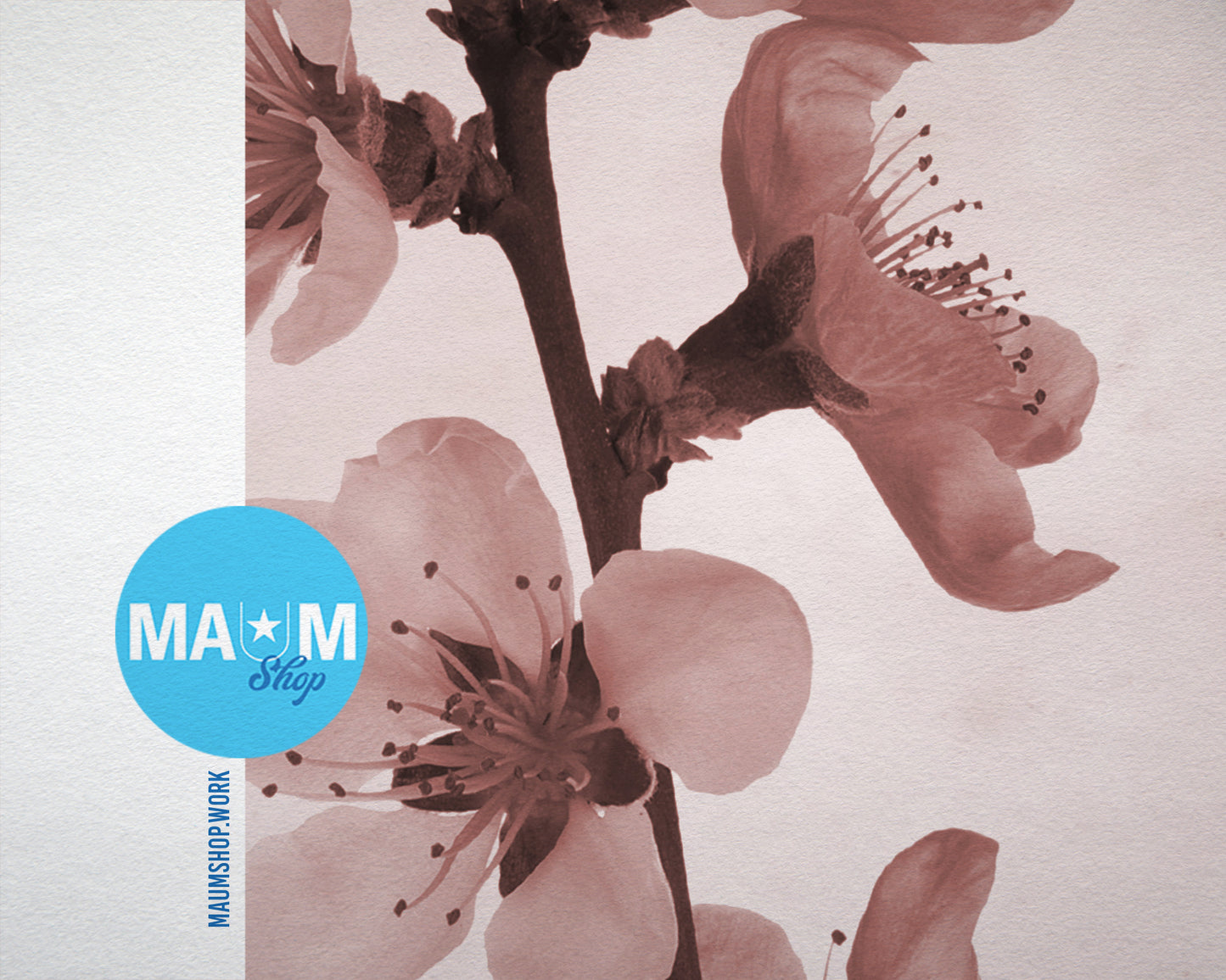 Cherry Blossoms Bloom Sepia Plants Art Wood Framed Print Wall Decor Gifts