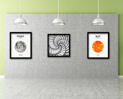 Aloe Succulent B &W Leaves Spiral Plant Wood Framed Print Decor Wall Art Gifts