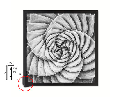 Aloe Succulent B &W Leaves Spiral Plant Wood Framed Print Decor Wall Art Gifts