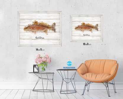 Red Drum Fish Framed Prints Modern Restaurant Sushi Bar Watercolor Wall Art Decor